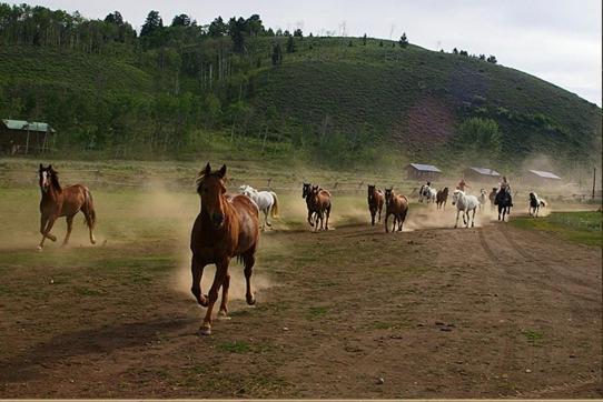 Hotel Parade Rest Ranch West Yellowstone Esterno foto